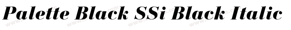 Palette Black SSi Black Italic字体转换